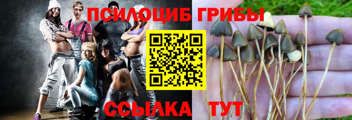 Галлюциногенные грибы ЛСД  Вход с VPN  Кольчугино  наркошоп  Галлюциногенные грибы мицелий 